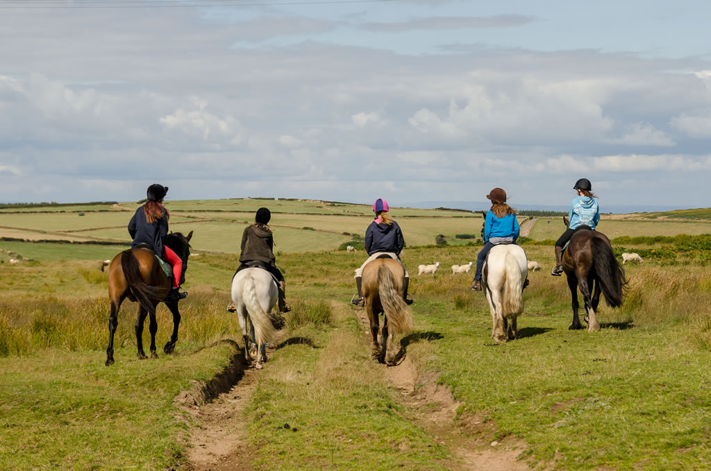 Horse Riding